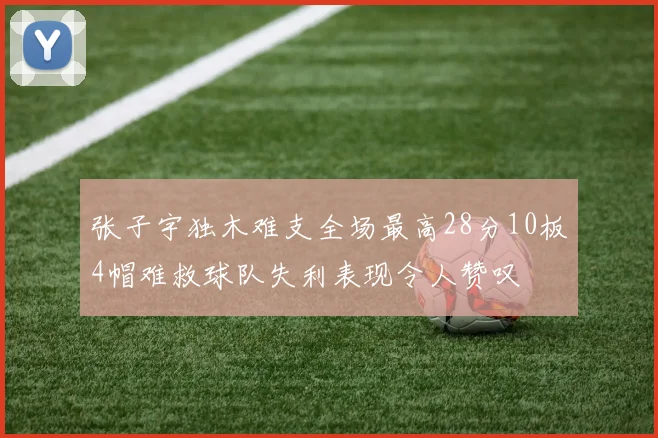 张子宇独木难支全场最高28分10板4帽难救球队失利表现令人赞叹